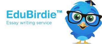 Edubirdie Detector Plagio Logo